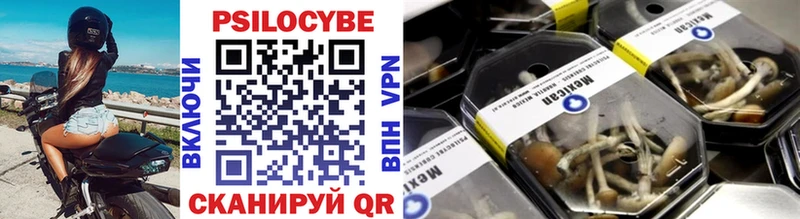 Псилоцибиновые грибы GOLDEN TEACHER  Брянск 